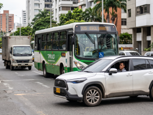 Guía de supervivencia para el conductor